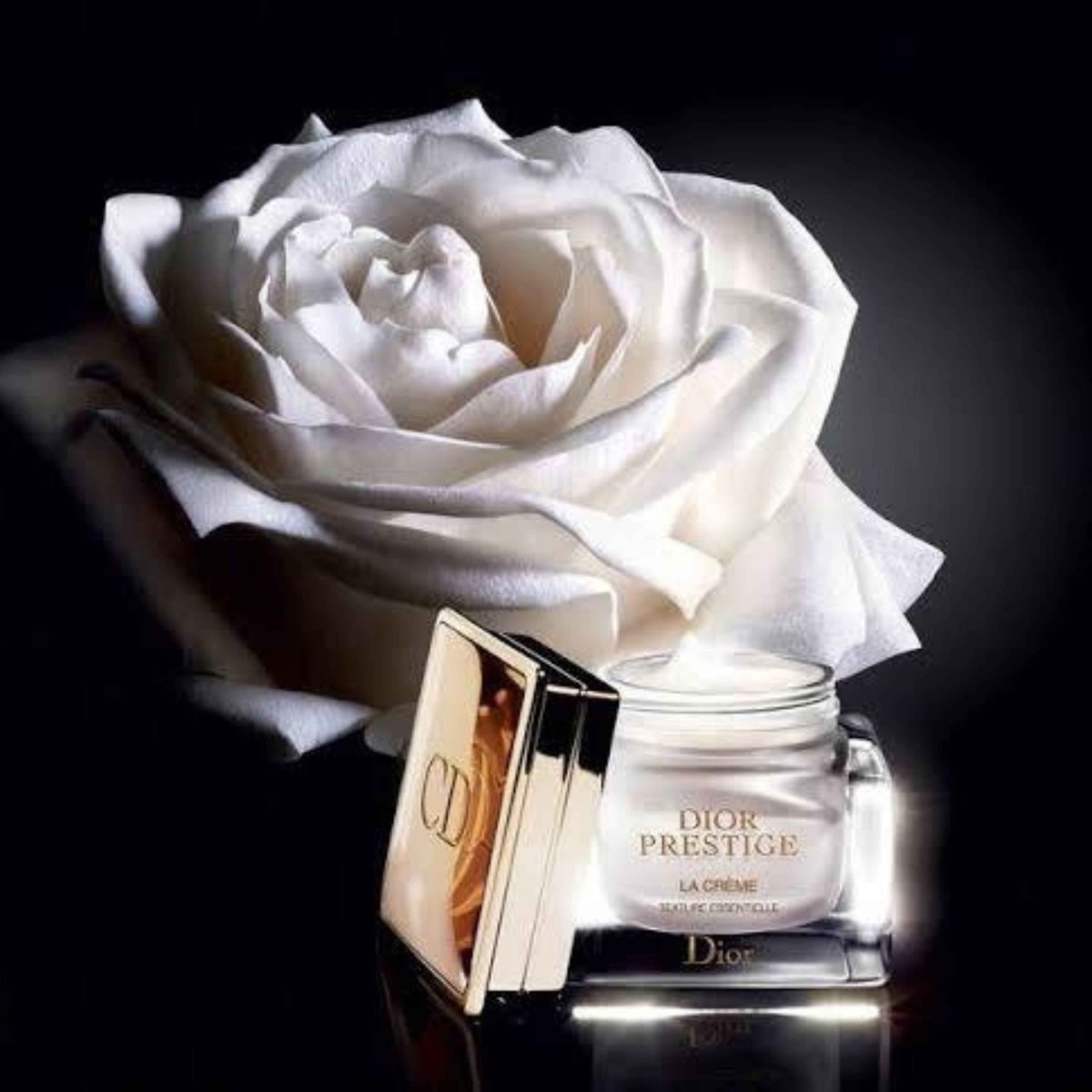 Dior Prestige Eye Cream - Bloom Shine