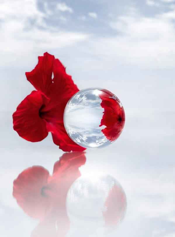 Christian Dior's One Essential Skin Boosting Super Serum - Bloom Shine